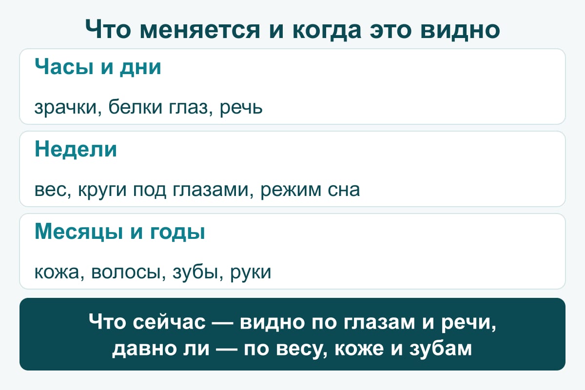 Схема: что меняется во внешности и когда — за часы (зрачки, речь), недели (вес, сон) и месяцы (кожа, зубы)